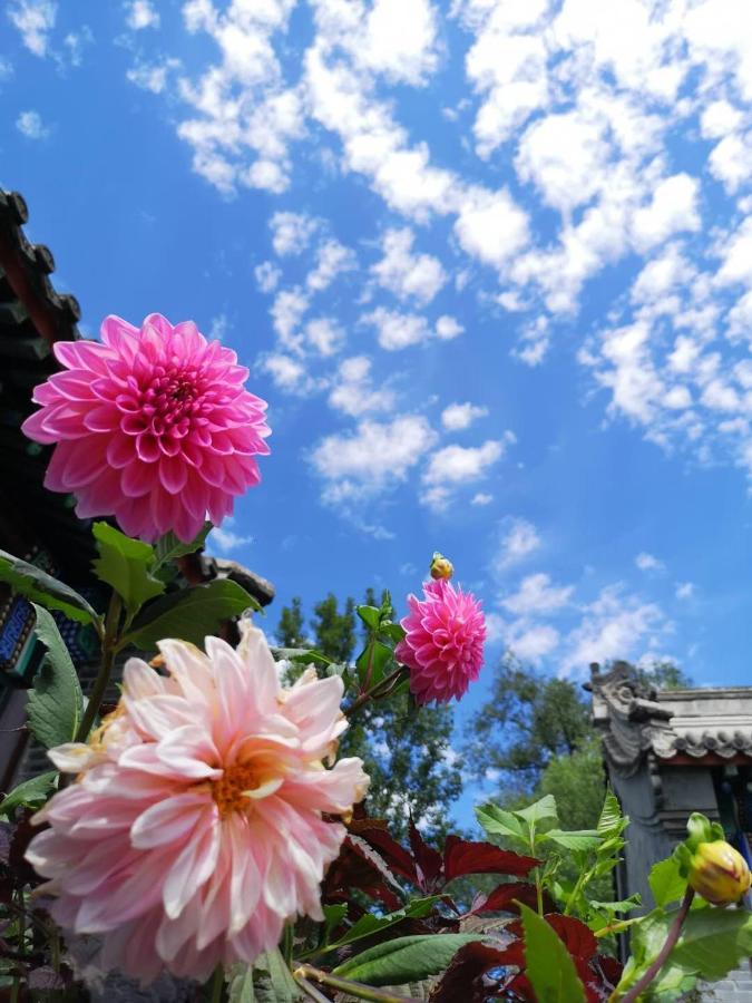 Chengde Kai Ren Hua Fu Inn Bi Shu Shan Zhuang Dian Dış mekan fotoğraf